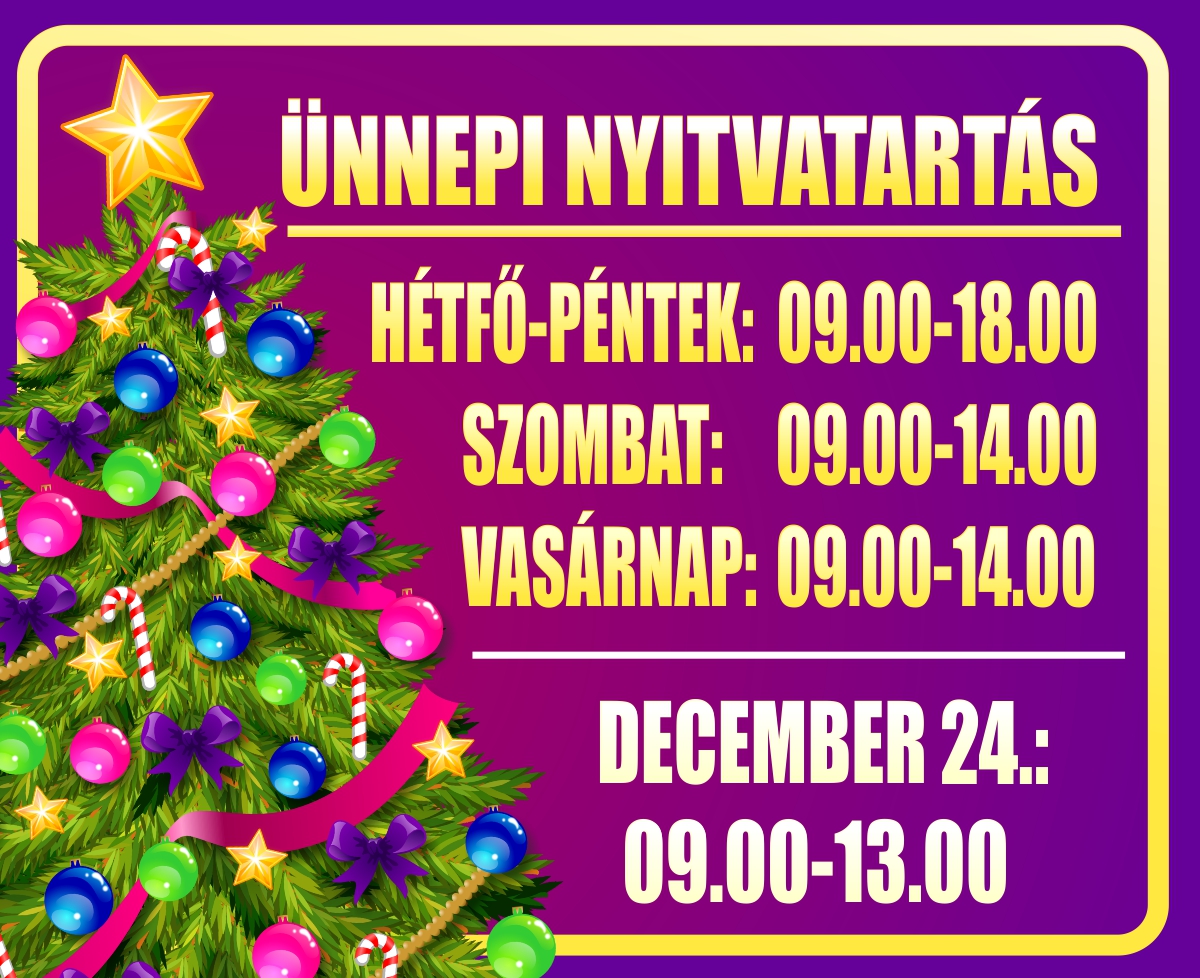 Program de deschidere festivă