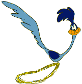 roadrunner