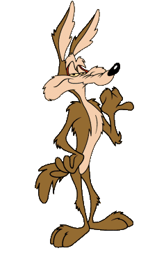 wile wile