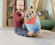 Colecția de jucării pentru bebeluși Fisher-Price Pădurea Prieteniei