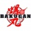Bakugan: Evolutions vine cu o nouă serie