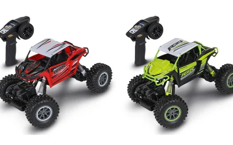 Mașinuță cu telecomandă NKOK Polaris RZR XP 1000