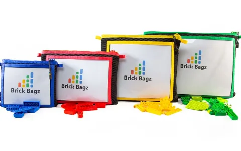 Cutii de depozitare LEGO® Brick Bagz