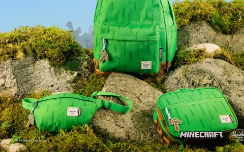 Îmbunătățește-ți echipamentul de gamer cu colecția de ghiozdane școlare Herschel Supply Minecraft!
