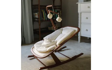 Fă timpul de somn mai confortabil cu leagănul pentru bebeluși Snuggle Me Organic!