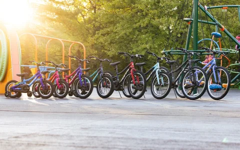 Biciclete pentru copii Huffy Grow Ride Move