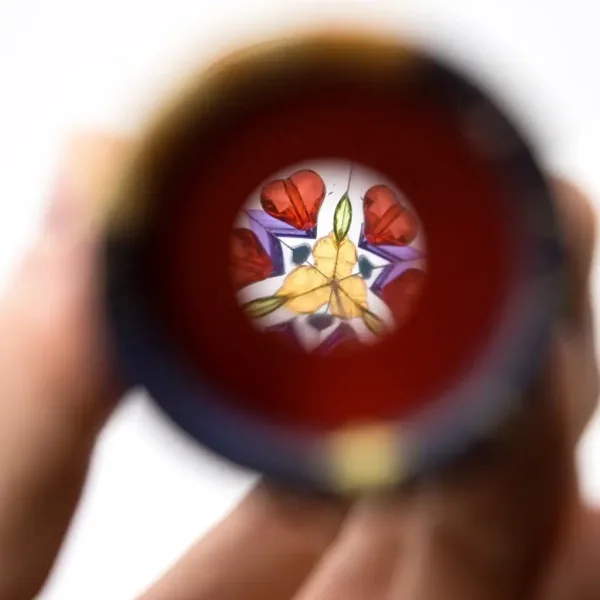 Kaleidoscop cu animale în diferite variante. imaginea 2