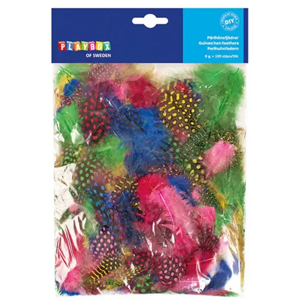PlayBox: Pene decorative colorate de bibilică, pachet de 100 bucăți imaginea 1