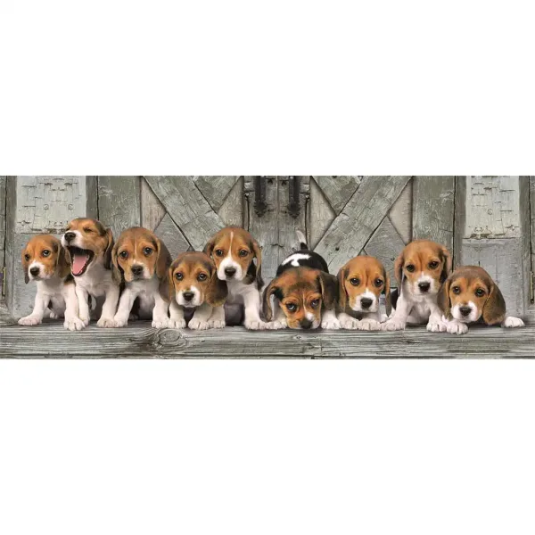 Puzzle panoramic cu 1000 de piese, Beagle, 98x33cm - Clementoni imaginea 2