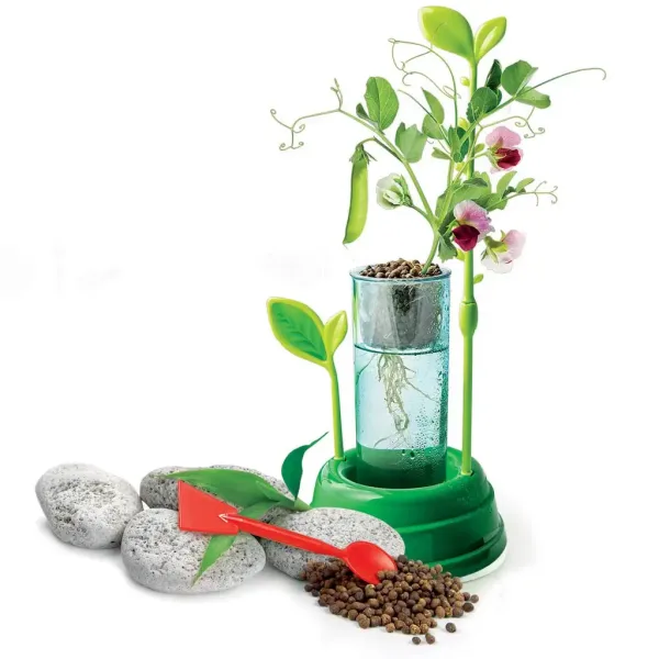 Science&Play: Laborator botanic hidroponic - Clementoni imaginea 2