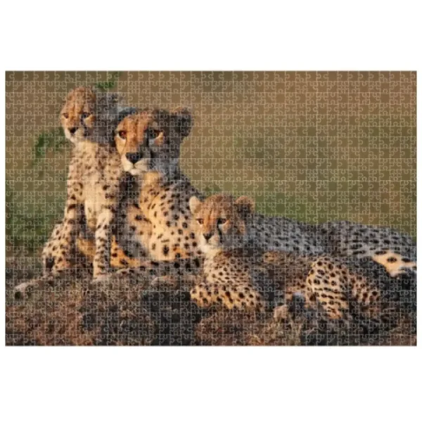 Animal Planet: Familia de ghepard 1000 bucăți puzzle imaginea 2