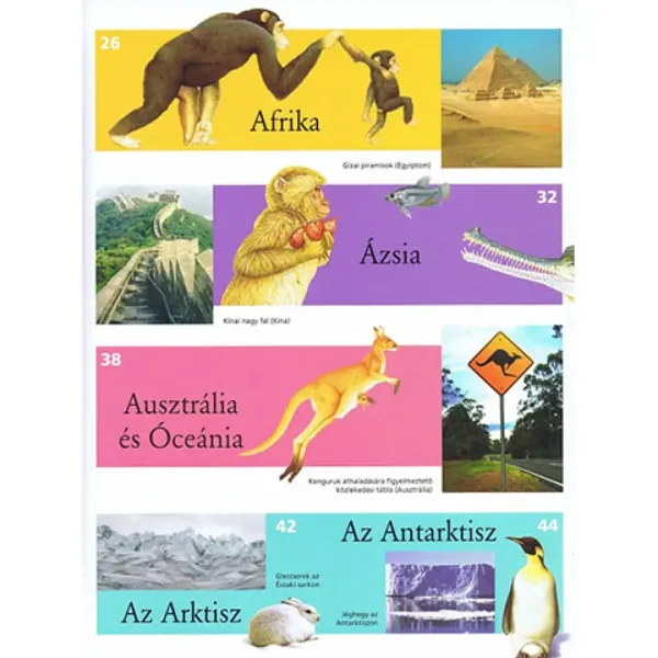 Atlas ilustrat pentru copii - Animale din lume carte de știință imaginea 3