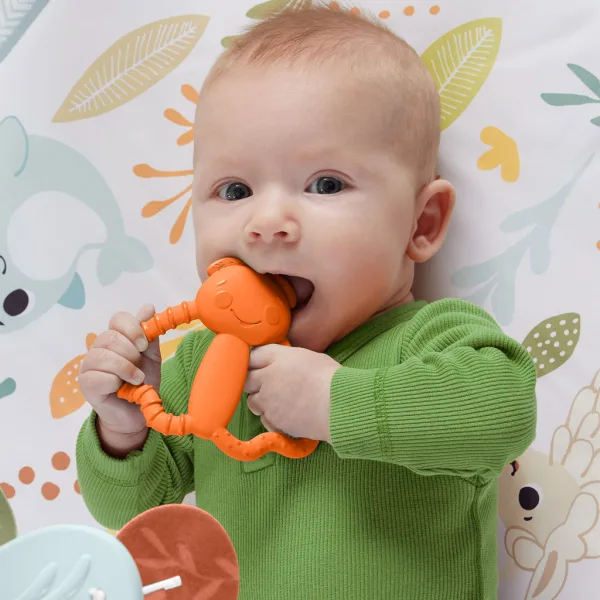 Fisher-Price: Figurine vesele – gândăcel pentru dentiție - Mattel imaginea 3