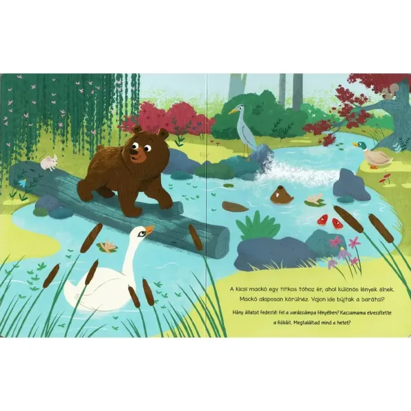 Lampa fermecată – Locuitorii pădurii, carte de povești imaginea 2