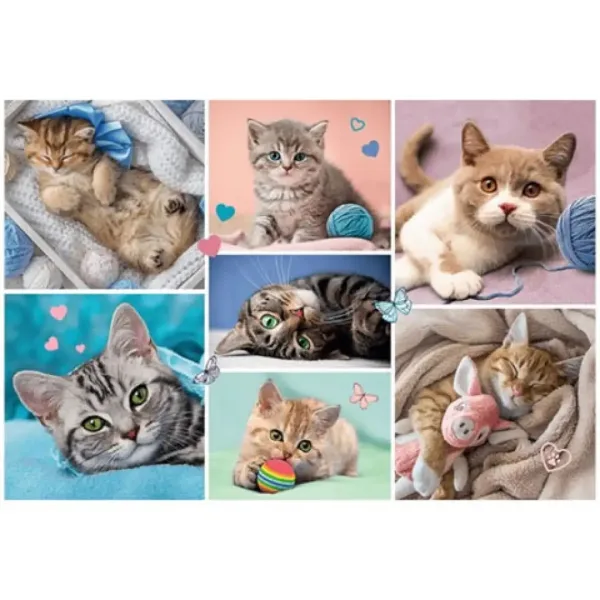 Pisici 100 de bucăți puzzle - Trefl imaginea 2