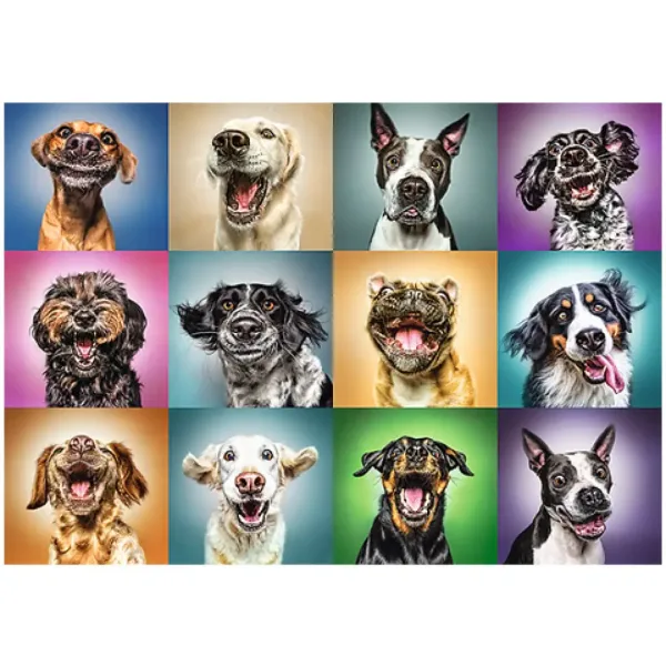 Puzzle cu 1000 de piese Câine Amuzant - Trefl imaginea 2
