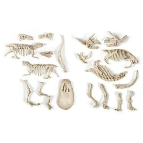 Science&Play: Archeofun T-rex și Triceratops luminează set de arheolog - Clementoni imaginea 3