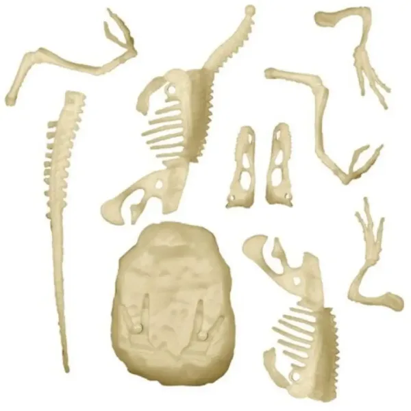 Science&Play: Archeofun Velociraptor luminează set de arheolog - Clementoni imaginea 3