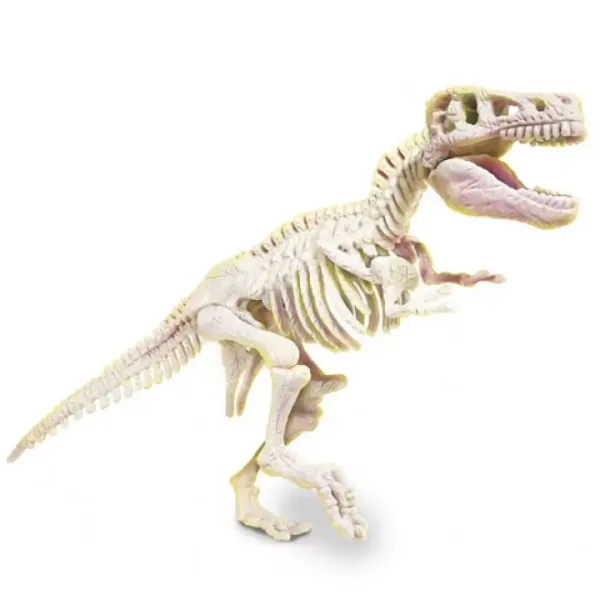 Science & Play: T-Rex set arheologic fluorescent - Clementoni imaginea 3