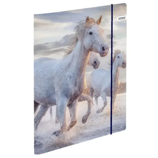 Spirit: Cool Magical Horse cai rucsac, ghiozdan ergonomic set de 4 bucăți imaginea 6