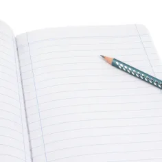 Ars Una: Animale drăguțe - Pisică bengaleză caiet dictando clasa a 3-a A/5 imaginea 2