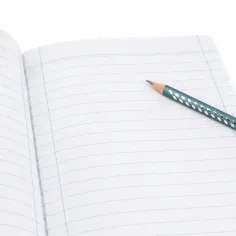 Ars Una: Animale drăguțe - Pisica norvegiană caiet dictando clasa a 3-a A/5 imaginea 2