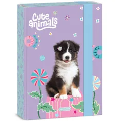 Ars Una: Animale drăguțe - cutie pentru caiete A/5 cu câini Aussie