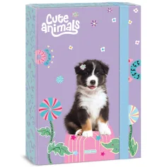 Ars Una: Animale drăguțe - cutie pentru caiete A4 cu câine Aussie