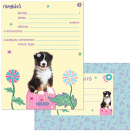 Ars Una: Cute Animals Aussie cu cățeluși, set de 10 invitații cu plic