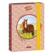 Ars Una: Cutia mea de caiete A5 My Sweet Horse