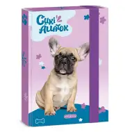 Ars Una: Cutie pentru caiete A/5 cu bulldog francez drăgălaș
