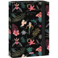 Ars Una: Cutie pentru caiete Tahiti A/4