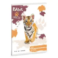 Ars Una: Lăbuțe Curajoase - Tigru Caiet dictando A/5 clasa I 14-32