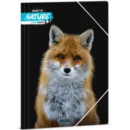 Ars Una: Máté Bence - Dosar A4 cu elastic, Vulpe