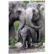 Ars Una: Serenity – Dosar cu elastic A/4 cu elefant