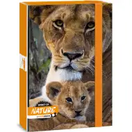 Ars Una: Spirit of Nature Leu cutie pentru caiete A/4