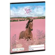 Ars Una: Wild and Free cai caiet dictando clasa a 3-a A/5