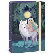 Ars Una: cutie pentru caiete Northern Lights A4