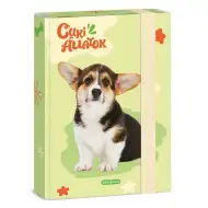 Ars Una: cutie pentru caiete format A/5 cu design Welsh Corgi bulldog
