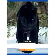 Caiet cu broșură, simplu, cu model de panteră neagră, 80-32 A/4