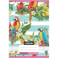 Caiet dictando pentru clasa a IV-a, broșat, cu model de papagal, format A5, 21-32.