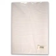 Hârtie liniată cu margini, format A3, 20 coli