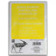 Hârtii colorate, grile de puncte și rețele de linii pentru clasa 1.