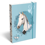 ICO: Cutie pentru caiete A/5 cu imprimeu Lizzysuli Wild Beauty Sport Club