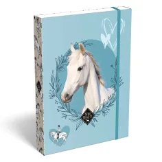 ICO: Cutie pentru caiete A/5 cu imprimeu Lizzysuli Wild Beauty Sport Club