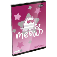 ICO: LizzySuli Kittok Stars caiet de vocabular A/5 31-32