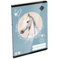 ICO: LizzySuli Wild Beauty Sport Club caiet simplu A/5 20-32