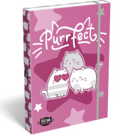 ICO: Lizzysuli Kittok stars — cutie A4 pentru caiete, cu elastic și model cu pisici