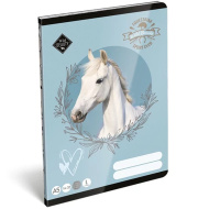 ICO: Lizzysuli Wild Beauty Sport Club caiet cu liniatură pentru clasa I