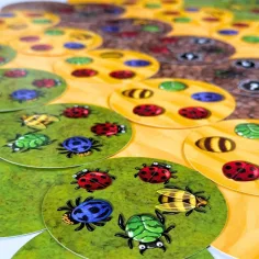 Joc educativ „Dansul insectelor” imaginea 5